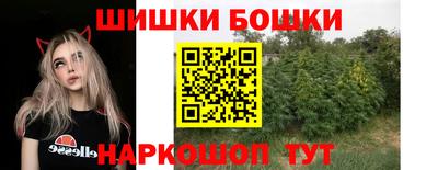 индика Новокубанск