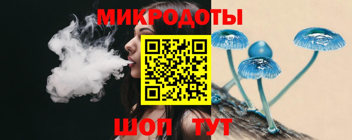 Псилоцибиновые грибы Psilocybe  Вход с VPN  Улан-Удэ  Псилоцибиновые грибы MAGIC MUSHROOMS 